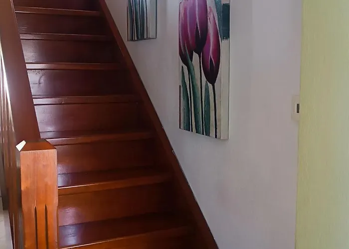 Dom wakacyjny Lyra's House Skiatos