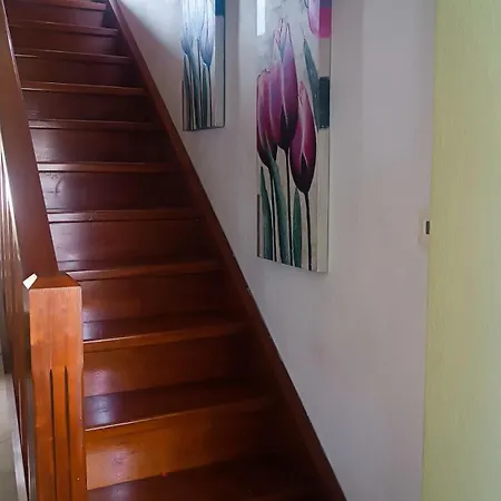 Dom wakacyjny Lyra's House Skiatos