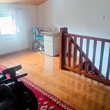 Dom wakacyjny Lyra's House