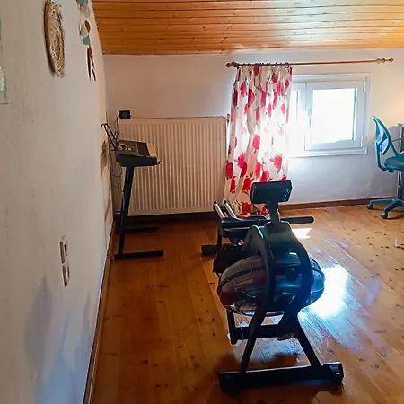 Lyra's House